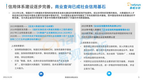 中國商業(yè)查詢市場分析2021
